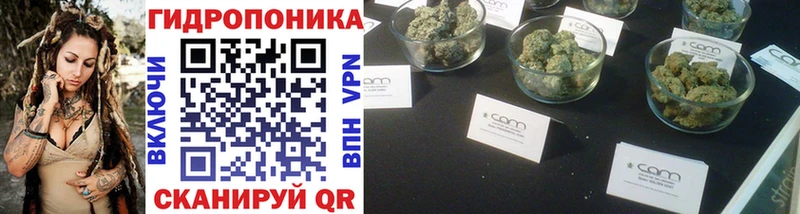Как найти закладки Черноголовка Кокаин  Меф мяу мяу  Гашиш  Alpha-PVP  АМФ  БУТИРАТ  Конопля 