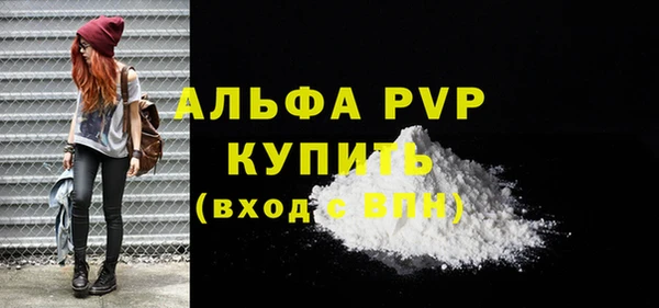 СК Сосновый Бор
