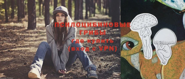 ГАЛЛЮЦИНОГЕННЫЕ ГРИБЫ Армянск