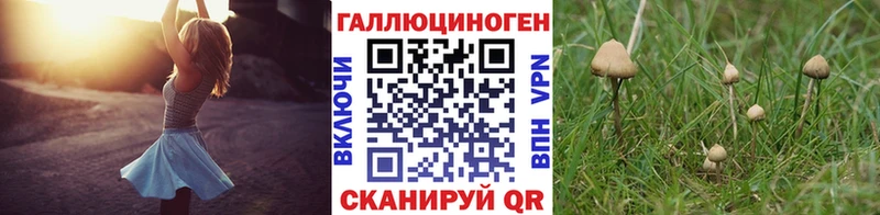 Псилоцибиновые грибы Magic Shrooms  Черноголовка 